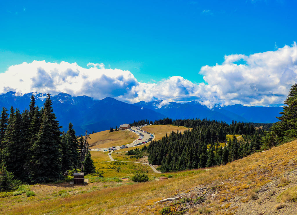 Top of hurricane ridge at Olympic National park, Washington, USA