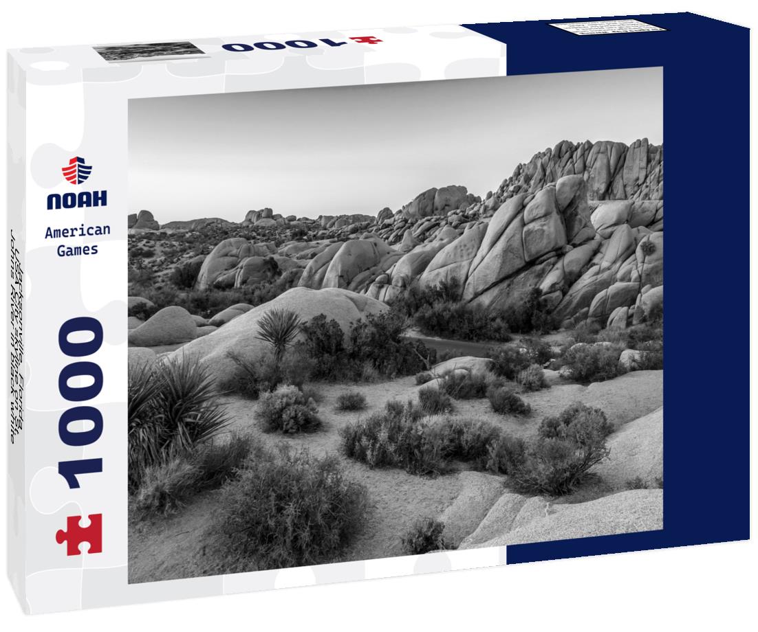 Noah Jigsaw Puzzle Jacksonville, Florida, USA City skyline on St. Johns River in black white 1000 pieces