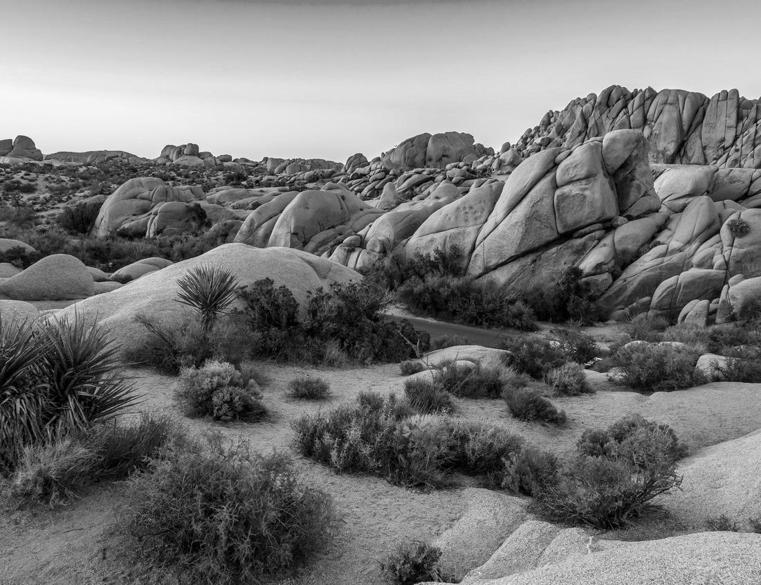 Noah Jigsaw Puzzle Jacksonville, Florida, USA City skyline on St. Johns River in black white 1000 pieces
