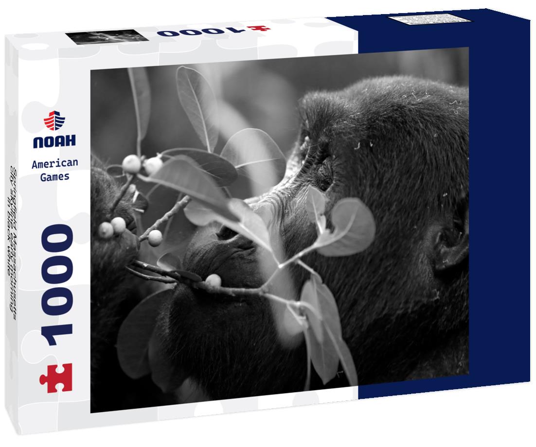 Noah Jigsaw Puzzle Springfield Massachusetts city skyline early morning in black white 1000 pieces