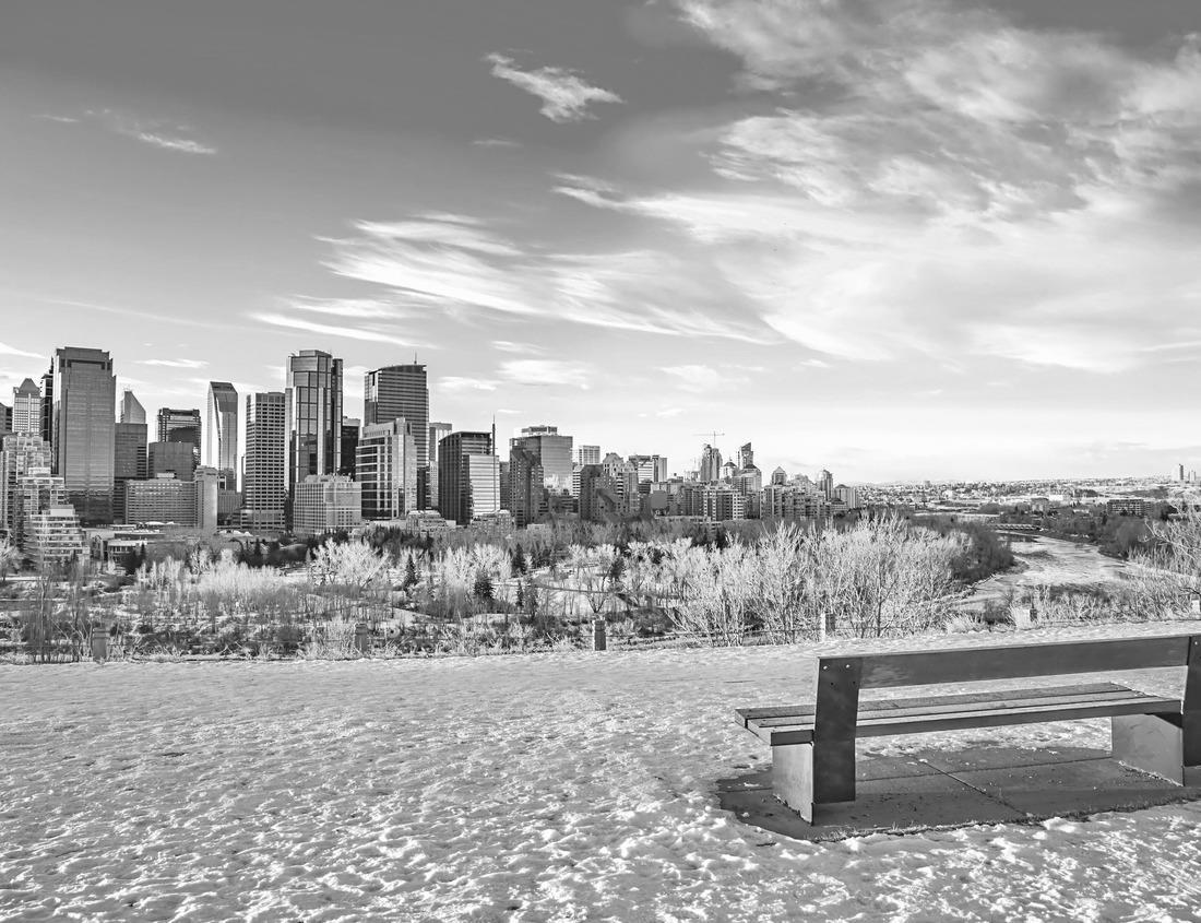 Noah Jigsaw Puzzle Kyoto, Japan the Ryoan-ji Temple zen rock garden in the spring in black white 1000 pieces