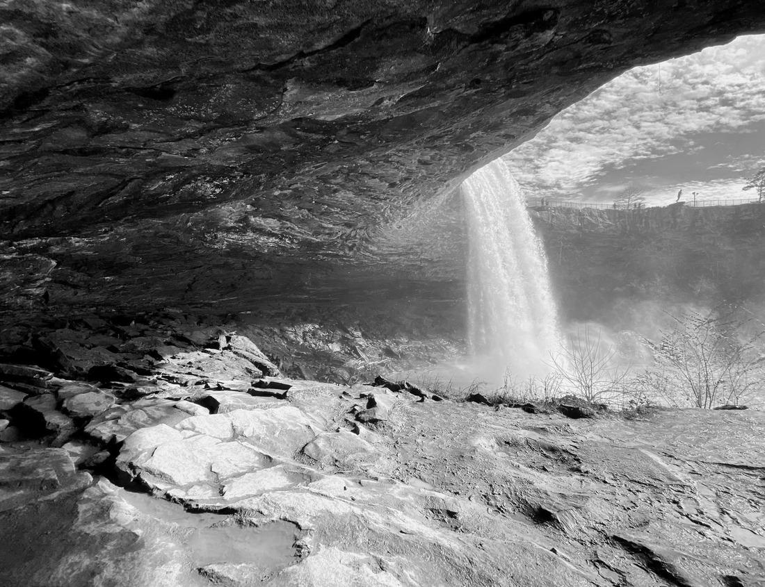 Noah Jigsaw Puzzle Kyoto, Japan at Heian Shrine's pond in the spring season in black white 1000 pieces