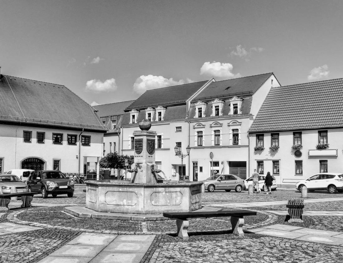 Noah Jigsaw Puzzle Lioness lying on a tree. Uganda in black white 1000 pieces