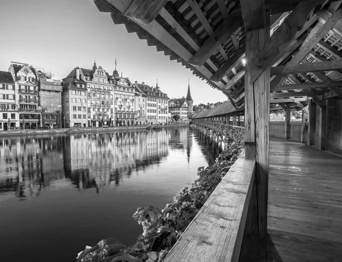 Noah Jigsaw Puzzle Forest elephant drinking, Central African Republic in black white 1000 pieces