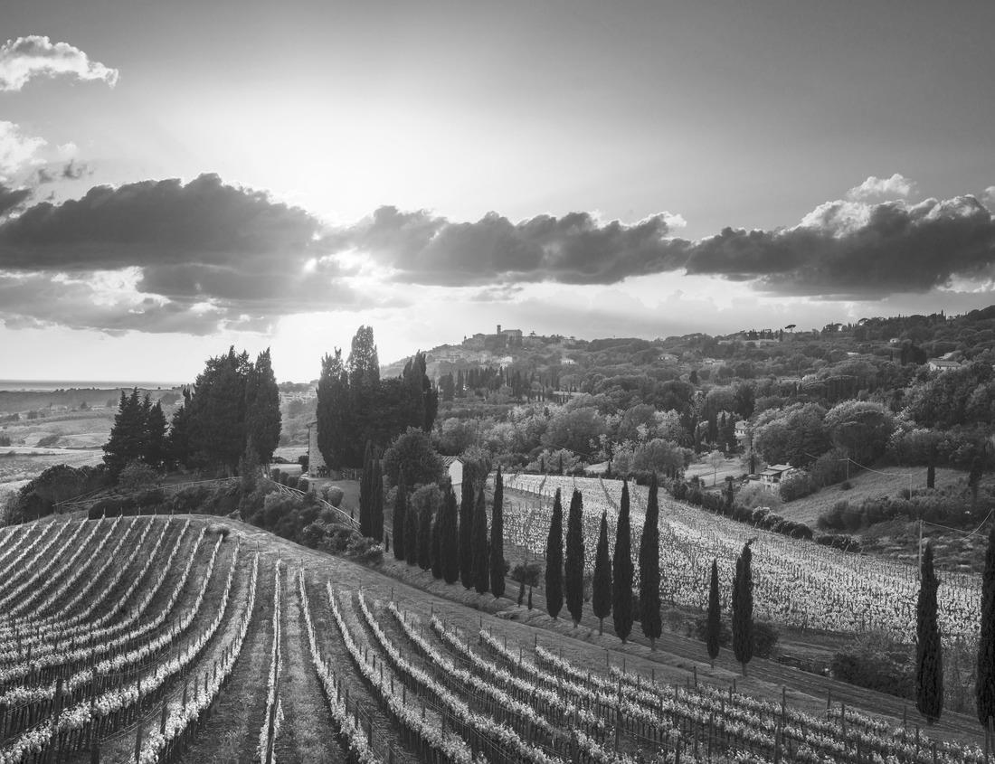 Noah Jigsaw Puzzle Large rocks on the lakeshore at sunset. Minnesota in black white 1000 pieces