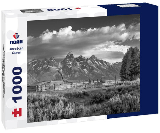 Noah Jigsaw Puzzle Washington, D.C. skyline with highways and monuments in black white 1000 pieces