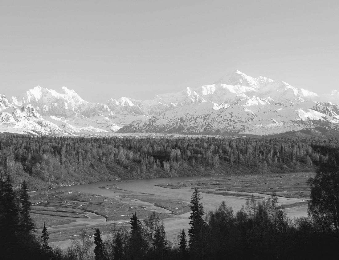 Noah Jigsaw Puzzle Nashville Skyline in black white 1000 pieces