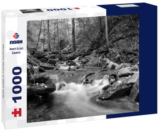 Noah Jigsaw Puzzle Memphis Skyline in black white 1000 pieces