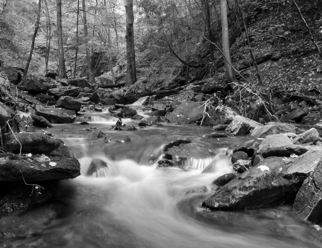 Noah Jigsaw Puzzle Memphis Skyline in black white 1000 pieces