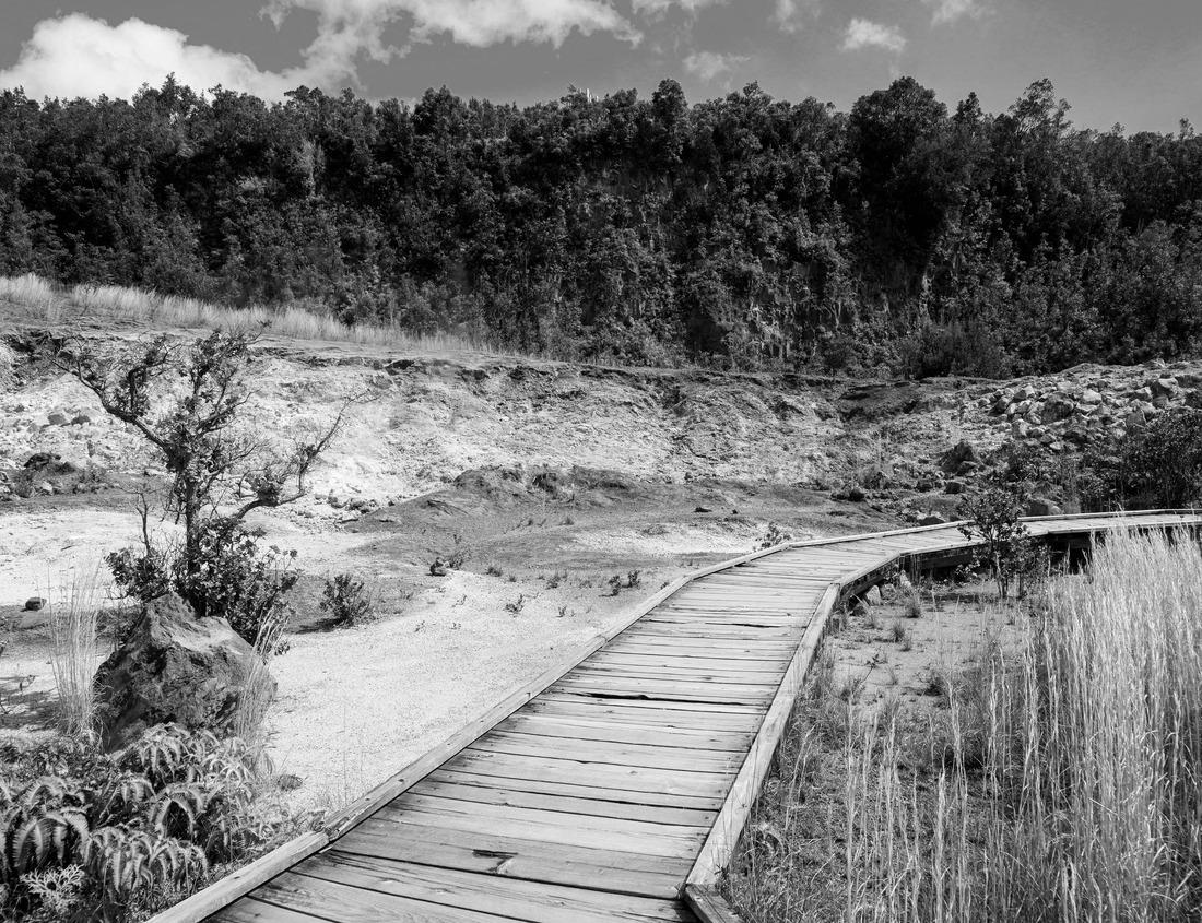 Noah Jigsaw Puzzle Chesapeake and Ohio Canal National Historical Park in Georgetown Washington DC in black white 1000 pieces