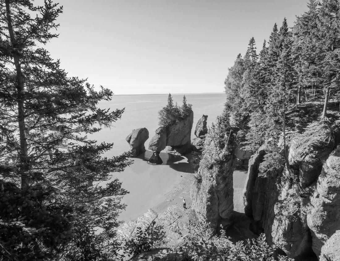 Noah Jigsaw Puzzle Chattanooga, Tennessee, USA riverfront in black white 1000 pieces