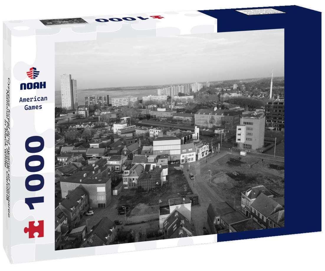 Noah Jigsaw Puzzle Cypress forest and swamp of Congaree National Park in South Carolina in black white 1000 pieces