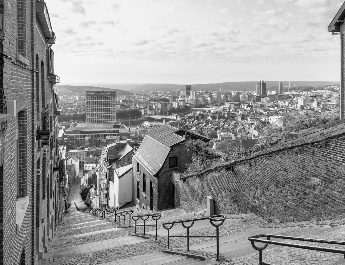 Noah Jigsaw Puzzle Augusta, Georgia, USA Downtown Skyline on the Savannah River in black white 1000 pieces