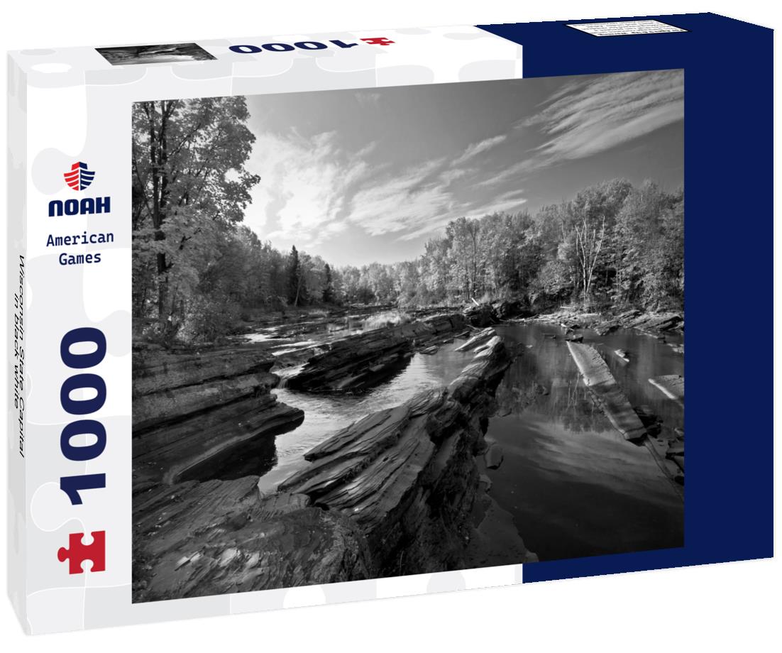 Noah Jigsaw Puzzle Wisconsin State Capital in black white 1000 pieces