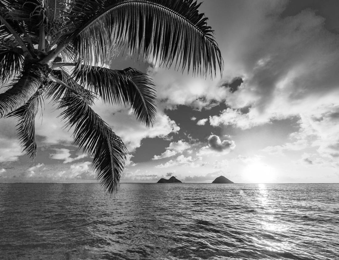 Noah Jigsaw Puzzle City of Bangor, Maine skyline at dusk in black white 1000 pieces