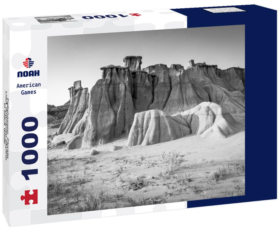 Noah Jigsaw Puzzle Tallahassee, Florida, USA downtown skyline in black white 1000 pieces