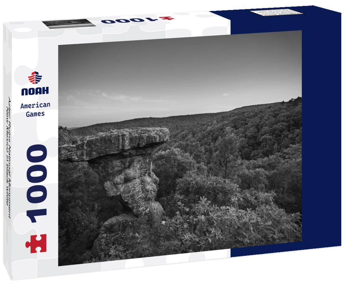 Noah Jigsaw Puzzle Aztec Ruins National Monument, New Mexico in black white 1000 pieces