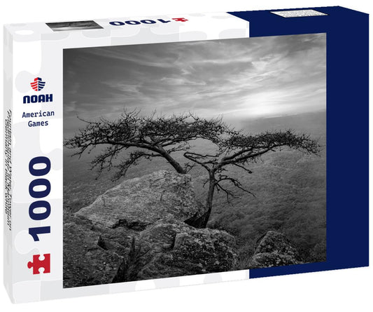 Noah Jigsaw Puzzle Fountain and Water Tower on Friedrichsplatz in Mannheim, Germany in black white 1000 pieces