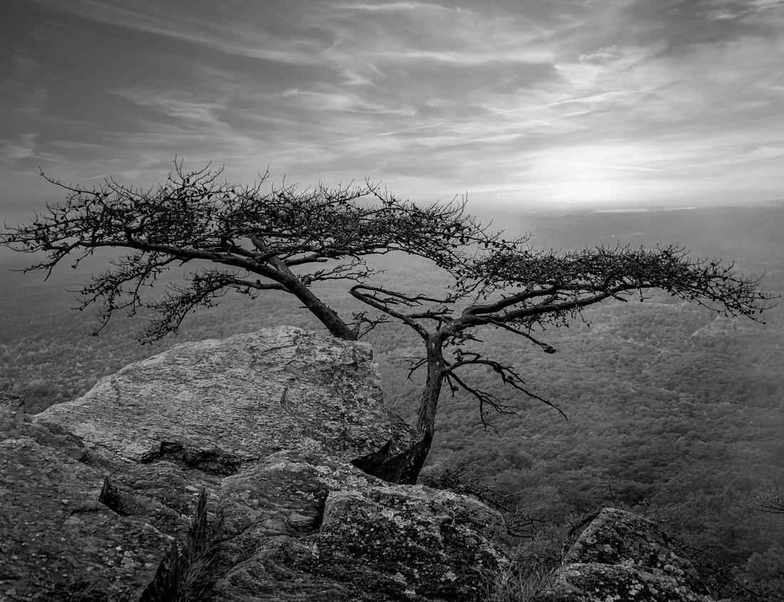 Noah Jigsaw Puzzle Fountain and Water Tower on Friedrichsplatz in Mannheim, Germany in black white 1000 pieces