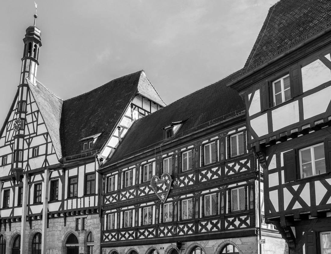 Noah Jigsaw Puzzle Grand Teton National Park in autumn in Wyoming USA in black white 1000 pieces