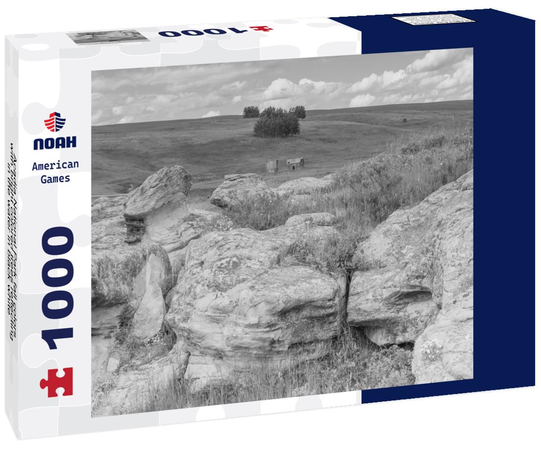 Noah Jigsaw Puzzle Acadia National Park fall colors with bright colored trees reflecting in the water in black white 1000 pieces