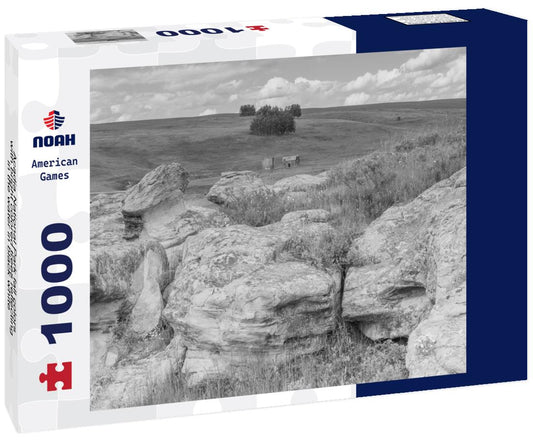 Noah Jigsaw Puzzle Acadia National Park fall colors with bright colored trees reflecting in the water in black white 1000 pieces