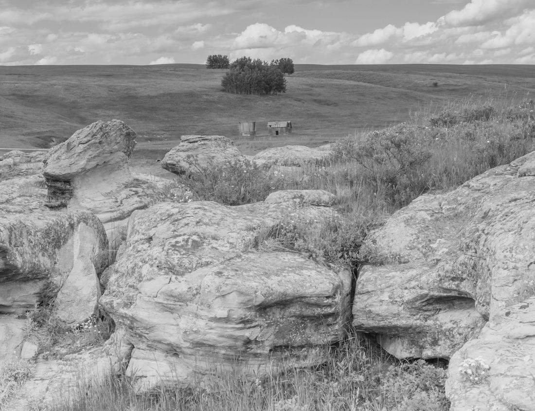 Noah Jigsaw Puzzle Acadia National Park fall colors with bright colored trees reflecting in the water in black white 1000 pieces