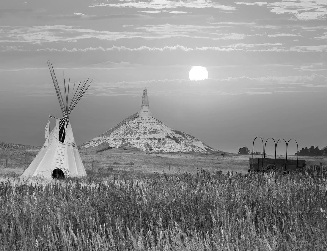 Noah Jigsaw Puzzle Flowering desert (Spanish: desierto florido) in the Chilean Atacama. The event is related to the El Nino phenomenon in black white 1000 pieces