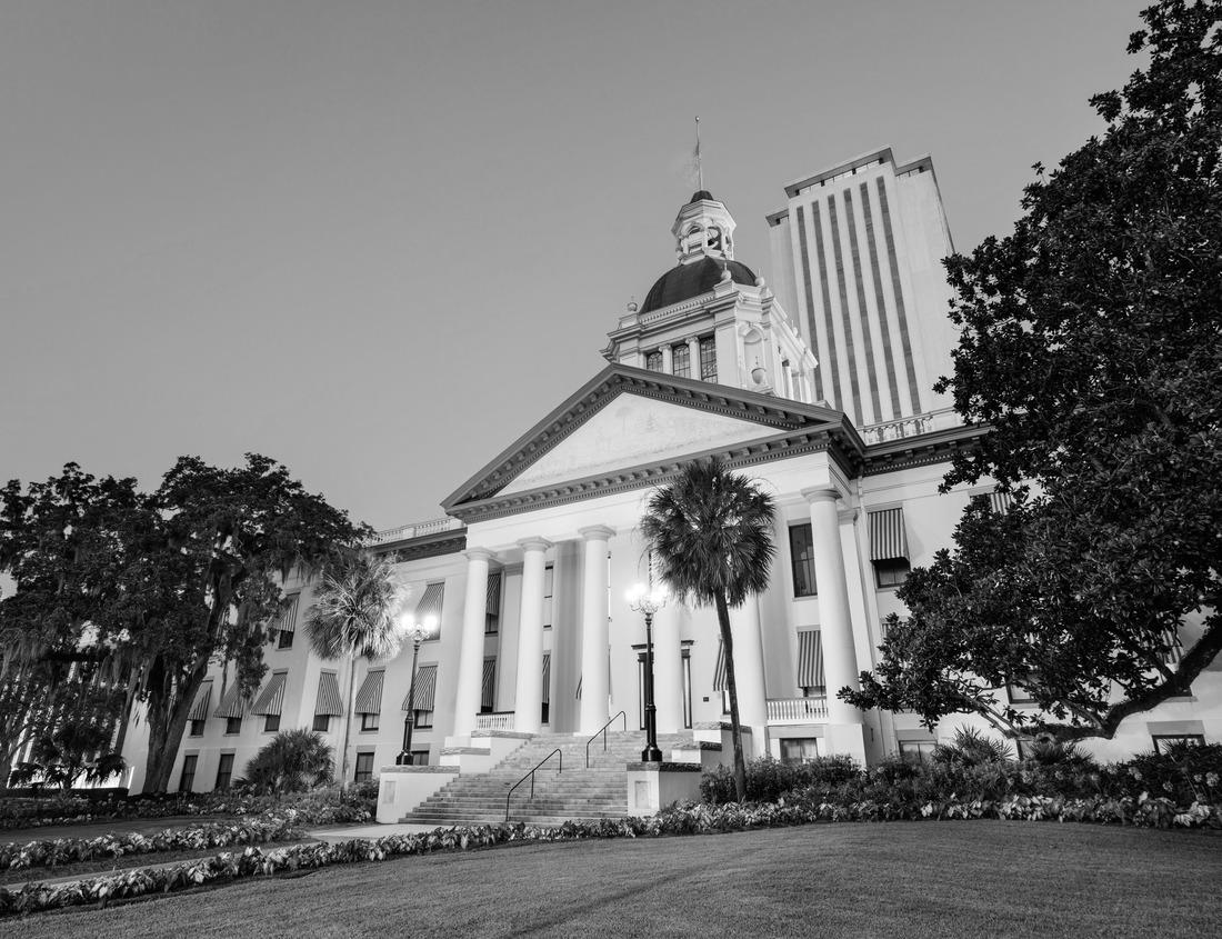 Noah Jigsaw Puzzle Colonia del Sacramento. Uruguay in black white 1000 pieces