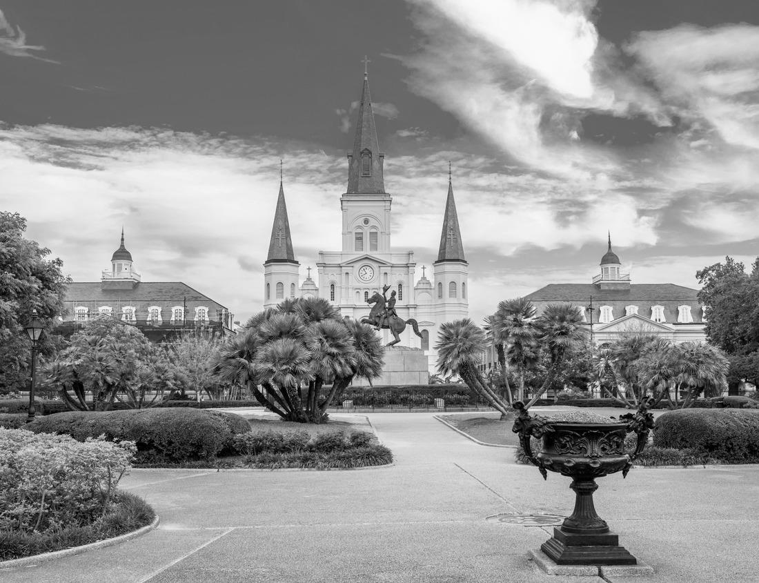 Noah Jigsaw Puzzle Forest elephants playing with each other. Central African Republic in black white 1000 pieces