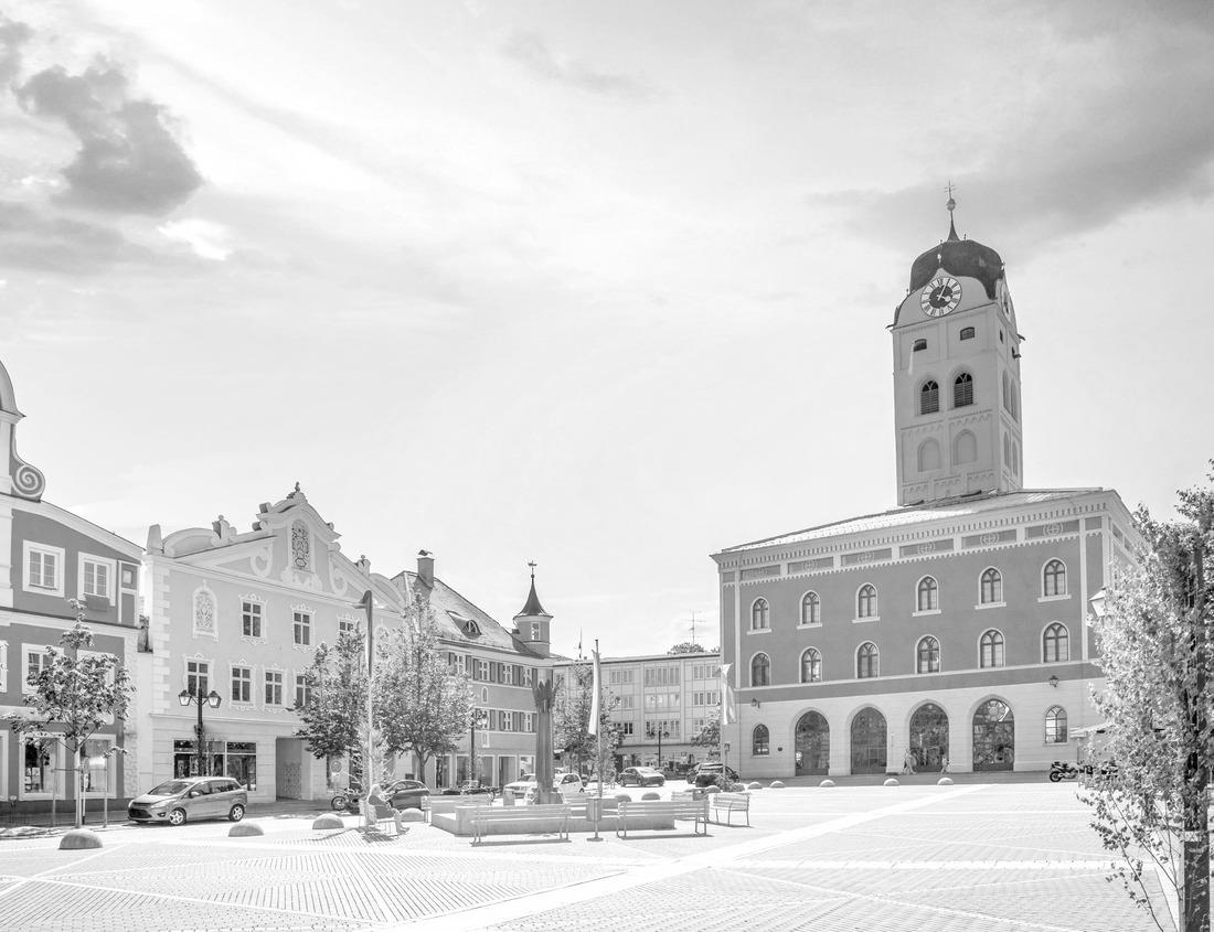 Noah Jigsaw Puzzle Dominant male mountain gorilla in grass. Uganda. Bwindi Impenetrable Forest National Park in black white 1000 pieces