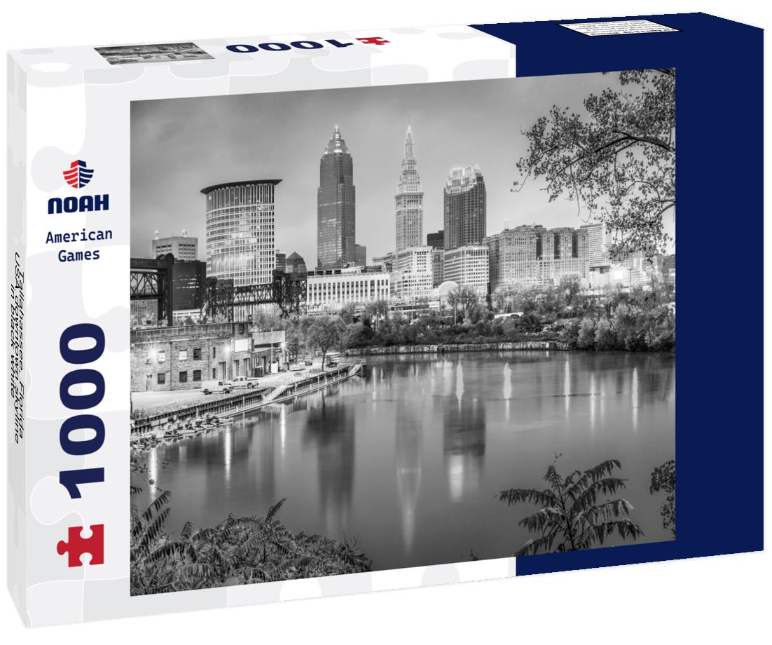 Noah Jigsaw Puzzle Tallahassee, Florida, USA downtown skyline in black white 1000 pieces