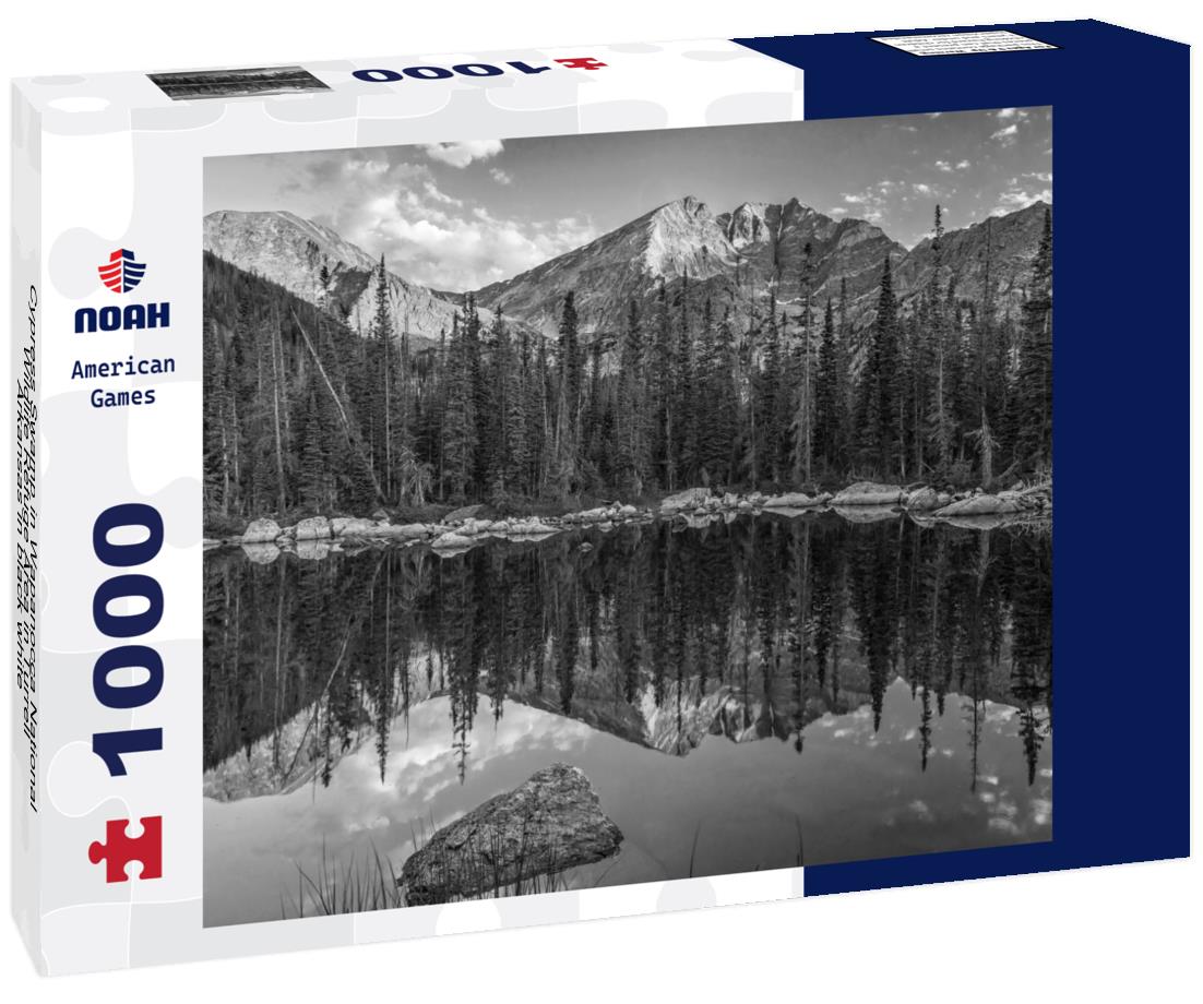 Noah Jigsaw Puzzle Cypress Swamp in Wapanocca National Wildlife Refuge Area in Turrell, Arkansas in black white 1000 pieces