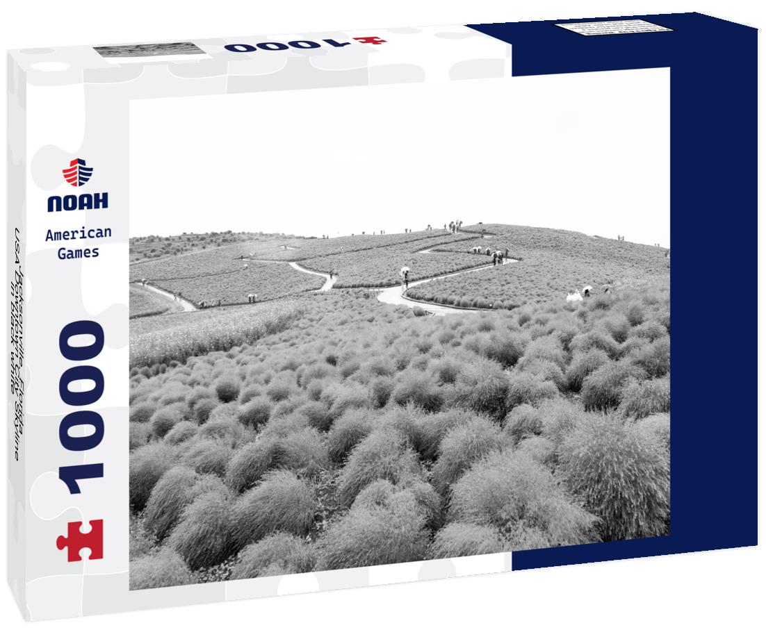 Noah Jigsaw Puzzle Jacksonville, Florida, USA Downtown City Skyline in black white 1000 pieces