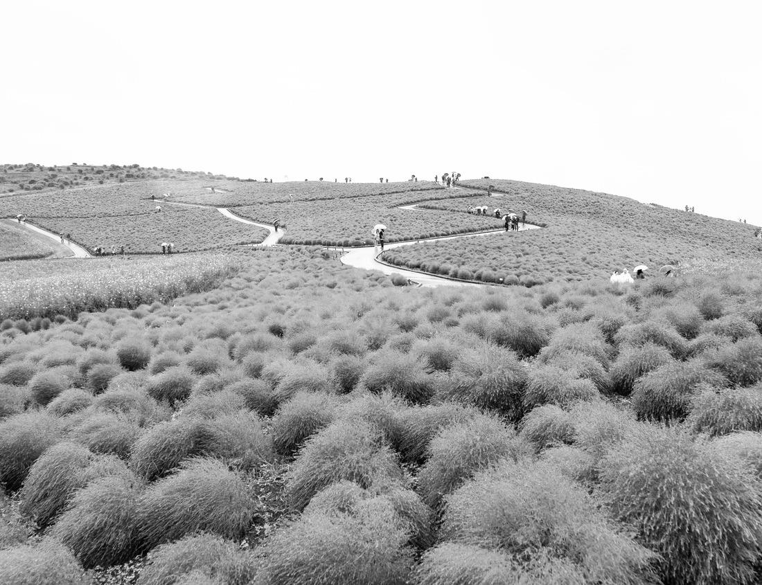 Noah Jigsaw Puzzle Jacksonville, Florida, USA Downtown City Skyline in black white 1000 pieces