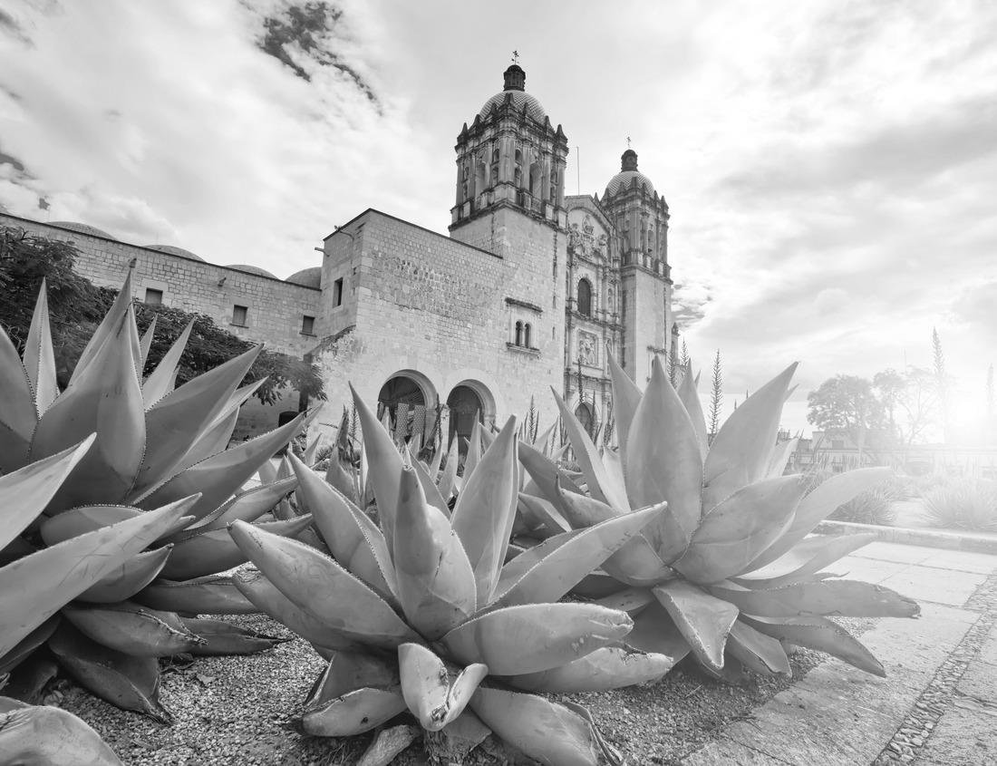 Noah Jigsaw Puzzle Durham, North Carolina, USA downtown city skyline in black white 1000 pieces