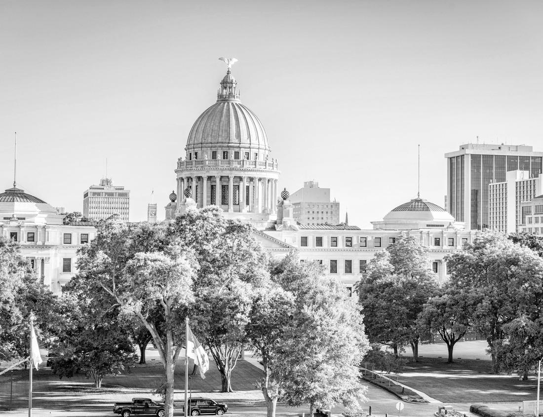 Noah Jigsaw Puzzle Landscape of a tea plantation in Uganda in black white 1000 pieces