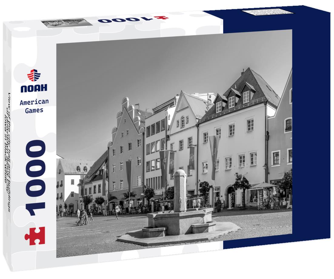 Noah Jigsaw Puzzle View of the city hall and buildings of downtown Sioux City, Iowa in black white 1000 pieces