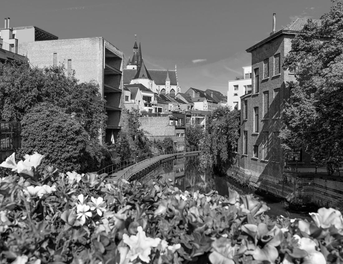 Noah Jigsaw Puzzle Mayan ruins at Palenque, Chiapas, Mexico. Palace and observatory in black white 1000 pieces