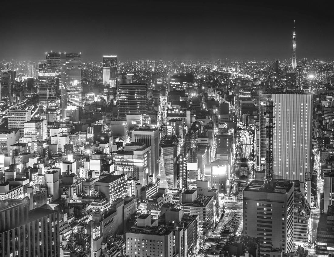 Noah Jigsaw Puzzle Isola Bella, Lake Maggiore in black white 1000 pieces