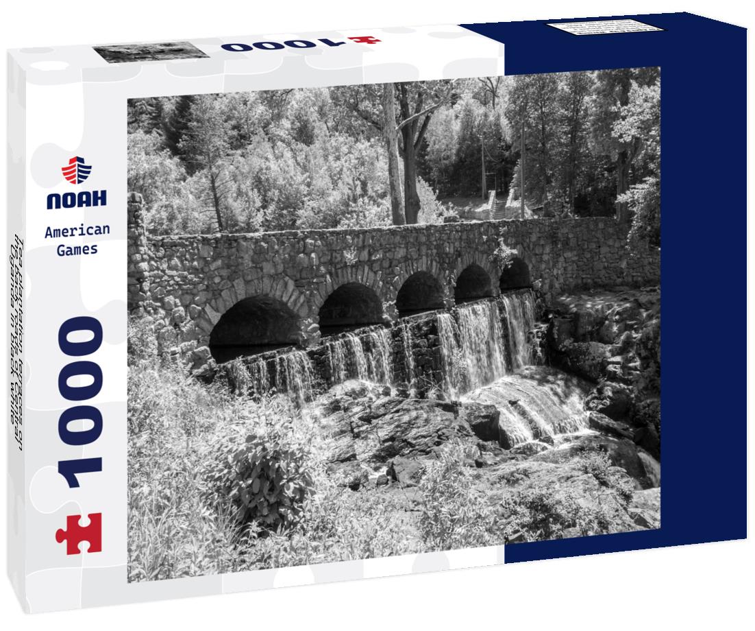 Noah Jigsaw Puzzle Tea plantation terraces on the back roads of Central Uganda in black white 1000 pieces