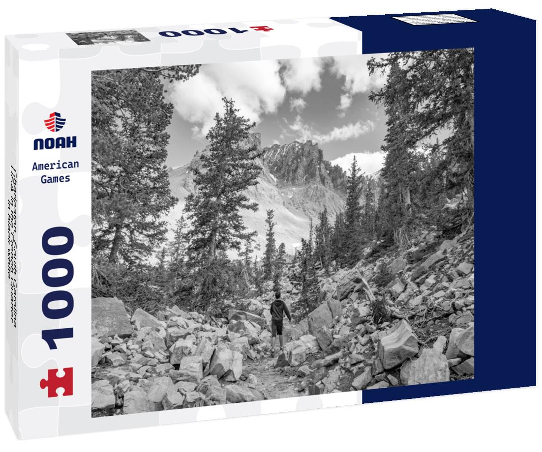 Noah Jigsaw Puzzle Charleston, South Carolina, USA in the French Quarter in black white 1000 pieces