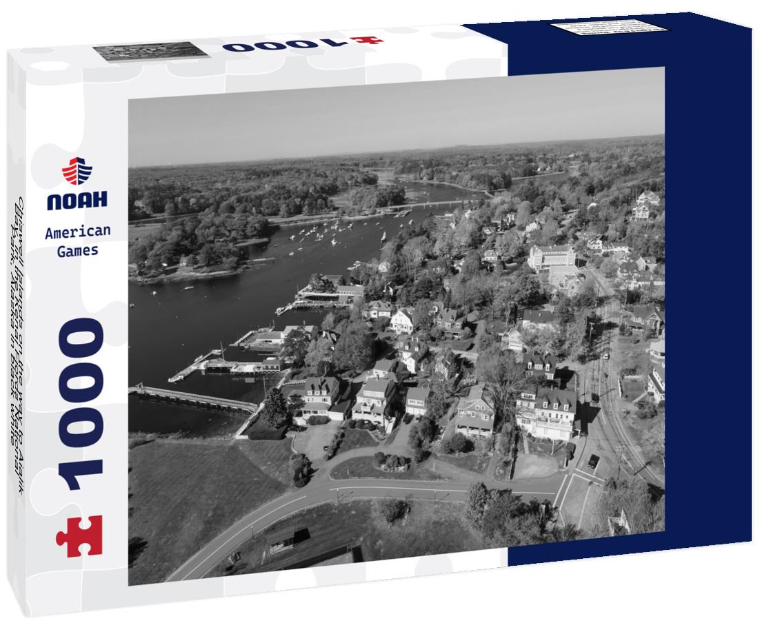 Noah Jigsaw Puzzle Chiswell Islands on the way to Aialik Bay, in the Kenai Fjords National Park, Alaska in black white 1000 pieces