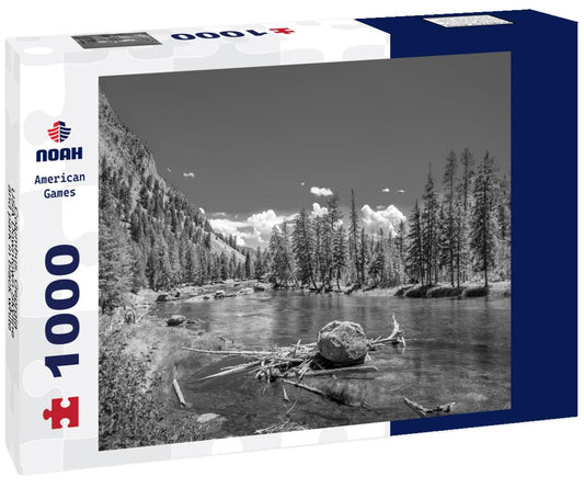 Noah Jigsaw Puzzle Columbus, Georgia, USA Downtown Skyline and park in black white 1000 pieces