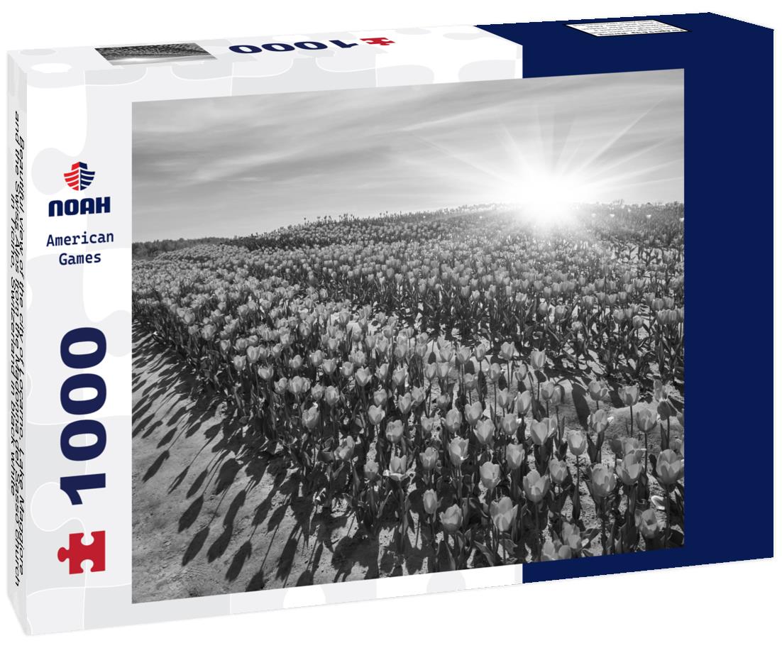 Noah Jigsaw Puzzle Beautiful view of the city of Locarno, Lake Maggiore and the Swiss Alps from the Madonna del Sasso church in Ticino, Switzerland in black white 1000 pieces