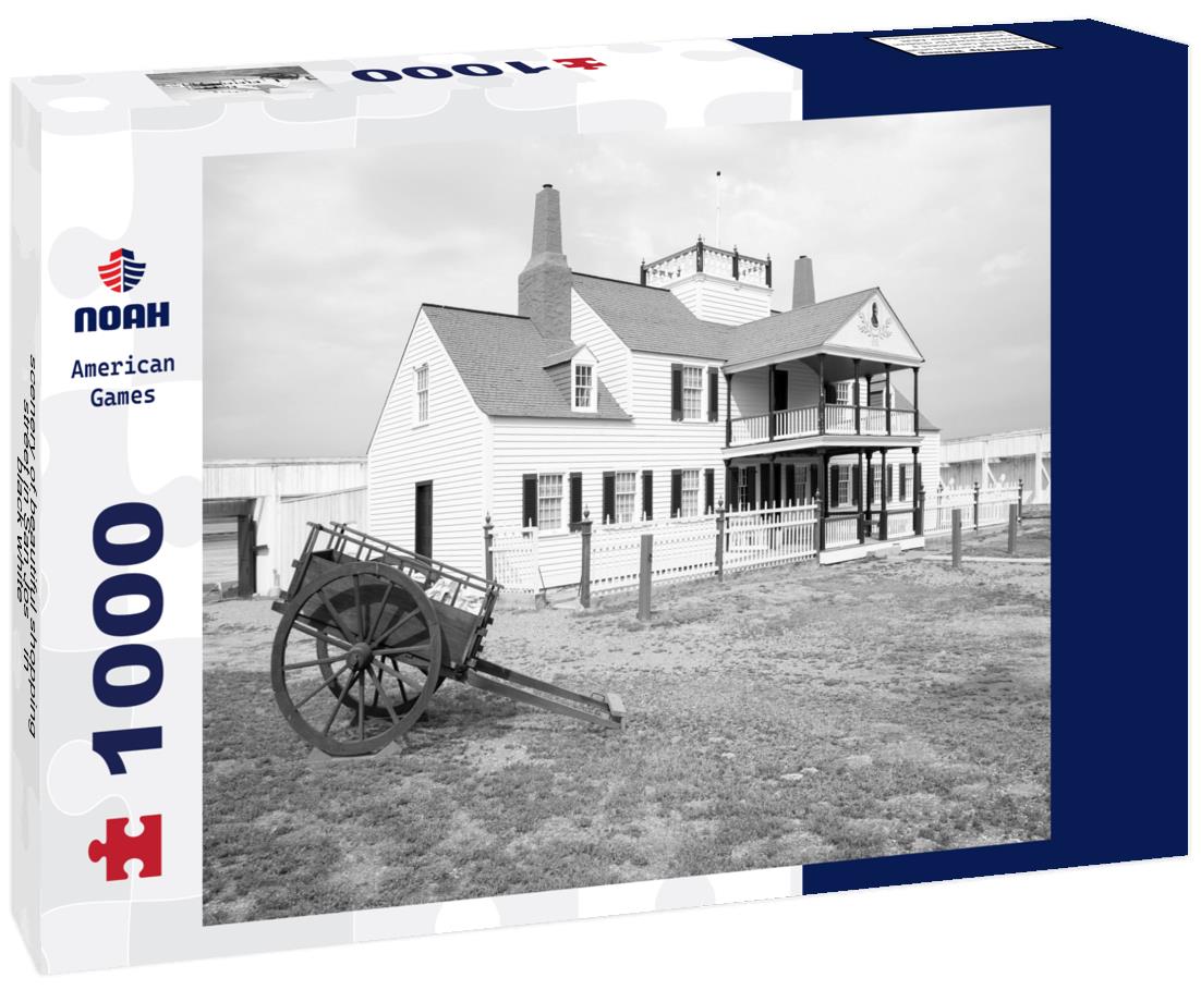 Noah Jigsaw Puzzle scenery of beautiful shopping street in San José in black white 1000 pieces