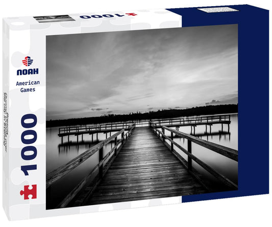 Noah Jigsaw Puzzle Brescia - Duomo Cupola over the city in evening light in black white 1000 pieces