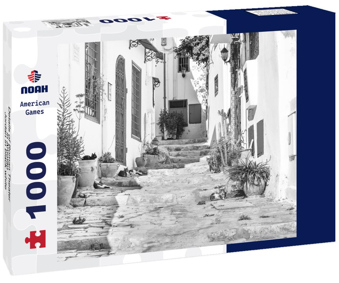 Noah Jigsaw Puzzle Details of Roman Theater in Amman - Jordan in black white 1000 pieces