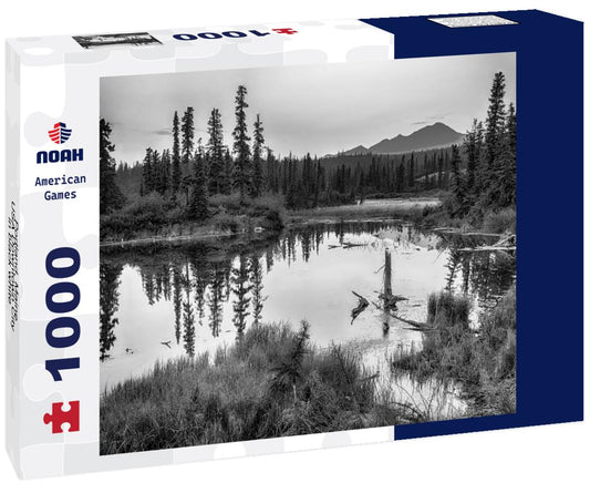 Noah Jigsaw Puzzle Portland, Maine, USA Downtown City in black white 1000 pieces