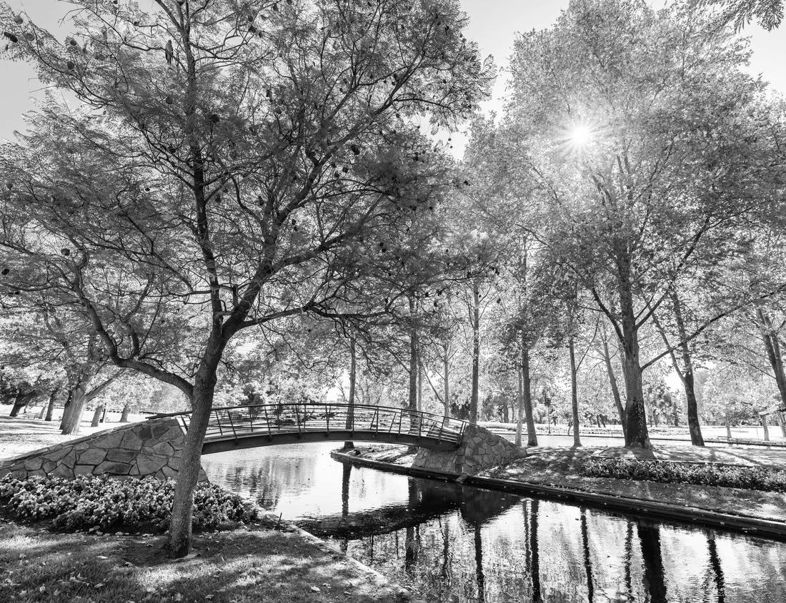 Noah Jigsaw Puzzle Augusta, Maine, USA Downtown skyline at the Kennebec River in black white 1000 pieces